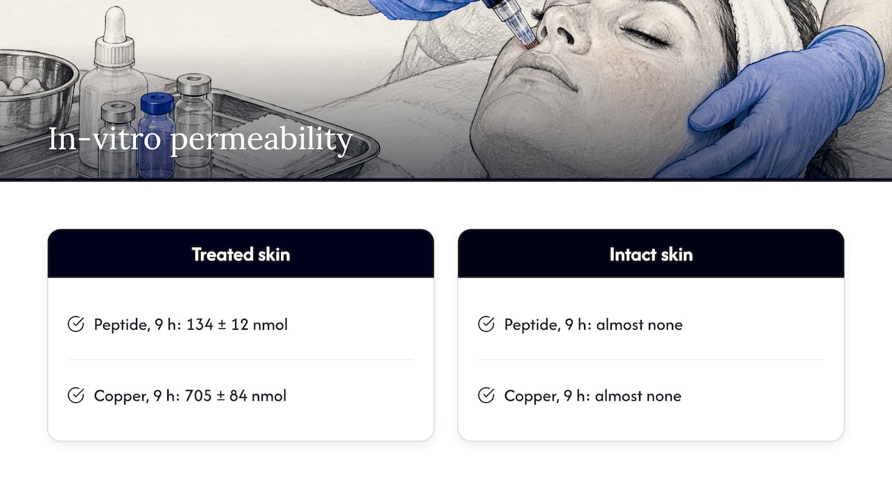 Measured peptide and copper permeation through skin